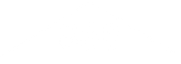 Product image with a clear background